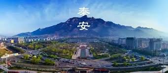 泰安侦探调查公司